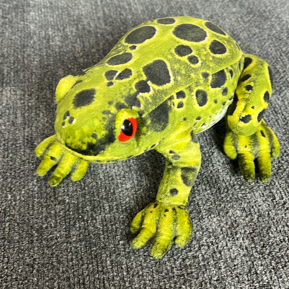 Fiesta frog toy like new
